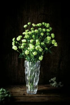 Nachtmann Vase 26 Cm QUARTZ 11 Nachtmann Vase 26 Cm QUARTZ -ZURBRUEGGEN Verkäufe 0102186 002