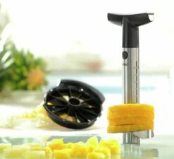 GEFU Ananasschneider PROFESSIONAL -ZURBRUEGGEN Verkäufe 1038020 003