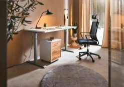 XORA E-Schreibtisch FINITO -ZURBRUEGGEN Verkäufe 1254023 004