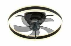 Zurbrüggen Deckenventilator BLACK WIDOW