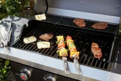 Landmann Gasgrill 122291 REXON -ZURBRUEGGEN Verkäufe 1290577 021