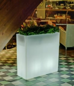 New Garden Blumentopf JUNCO -ZURBRUEGGEN Verkäufe 1294665 006