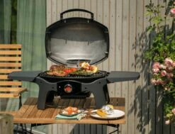 Landmann Elektrogrill PANTERA -ZURBRUEGGEN Verkäufe 1308812 001