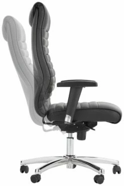 Topstar Chefsessel PROFI CHIEF 100 19 Topstar Chefsessel PROFI CHIEF 100 -ZURBRUEGGEN Verkäufe 13190087 01 D008 t