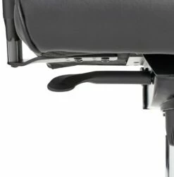 Topstar Chefsessel PROFI CHIEF 100 17 Topstar Chefsessel PROFI CHIEF 100 -ZURBRUEGGEN Verkäufe 13190087 01 D010 t