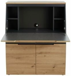 Voleo Sekretär DETROIT 10 Voleo Sekretär DETROIT -ZURBRUEGGEN Verkäufe 27370356 19 F003 t