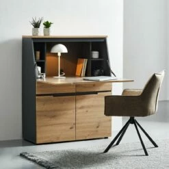 Voleo Sekretär DETROIT 9 Voleo Sekretär DETROIT -ZURBRUEGGEN Verkäufe 27370356 19 M001 t