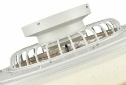 Mican Deckenventilator Wind -ZURBRUEGGEN Verkäufe 82270854 01 D 202009090422020487512